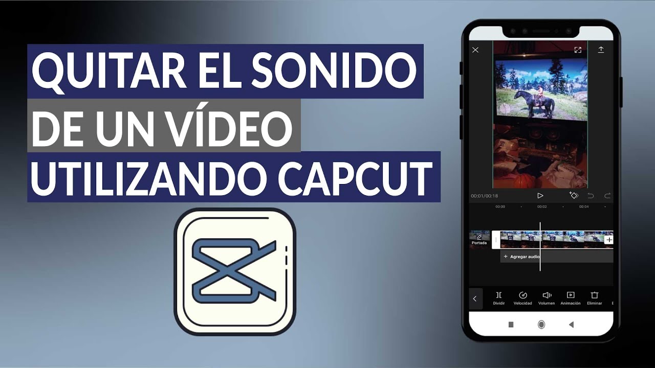 Ondas Suponer Numérico Cómo Quitar el Sonido de un Video Utilizando CapCut Correctamente? - YouTube