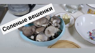 Соленые вешенки. Быстро, легко и вкусно.🥰