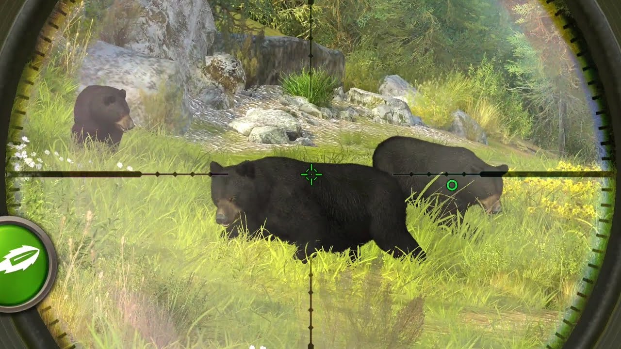 Hunting Clash. Review Black bear 