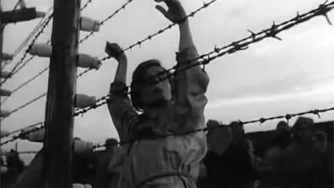 Tracking Shots in Films