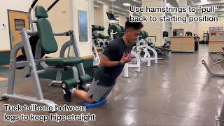 Nordic Hamstring Curl with Concentric (Push-up Assist)