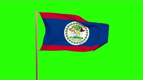 Belize Flag Waving In The Wind. Green Screen, Alpha Matte. Loopable Animation Stock Animation