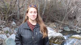 Aquatic Macroinvertebrates and Stream Health