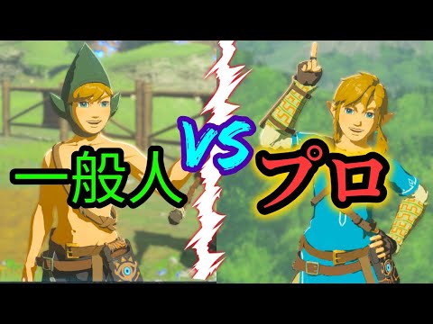 一般人とプロの違い noob vs pro【ブレワイ】