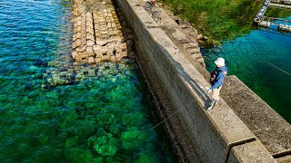 This breakwater makes it easy to catch expensive squid.