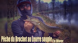 Pêche du Brochet au leurre souple en hiver