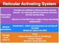 RAS and Thalamus role in Consciousness