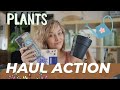 Haul action !!! Spécial kit de culture 🌾🥒🍅🍃🌤️