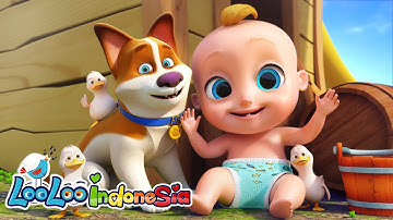 Suara Hewan + Lagu ABC - Lagu Anak Anak - LooLoo Indonesia
