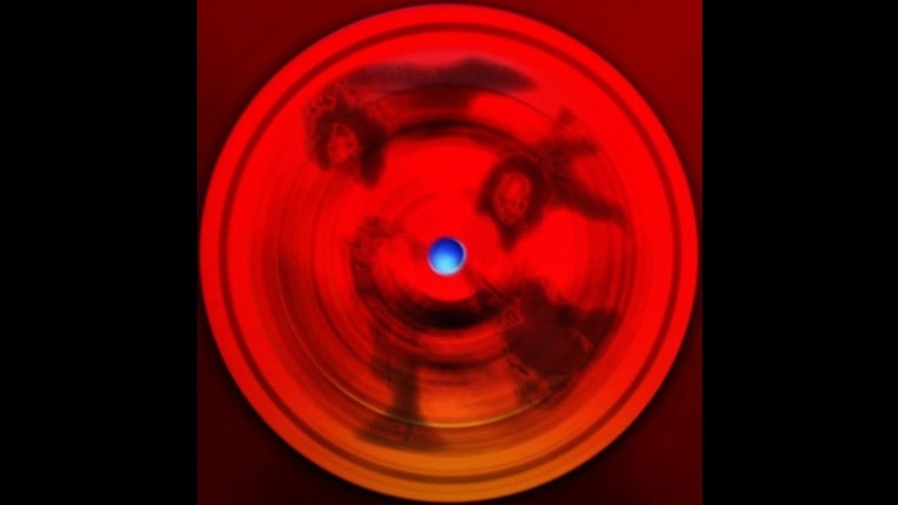 V.I.C.A.R.I. - Torealise