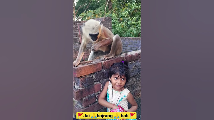 🚩Jai bajrang 🚩 bali_🙏_🐒.video #trending #monkey