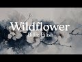 Billie Eilish Wildflower Lyrics Billie Eilish Wildflower Lyrics
