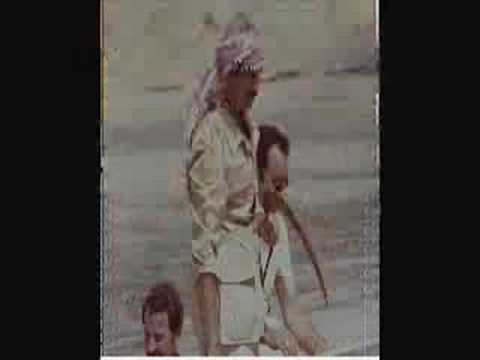 الحور تهتف بهجة زف الشهيد 