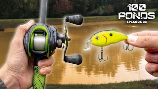 Pond Fishing DIRTY Water With Crankbaits! (100 Ponds Ep. 23)