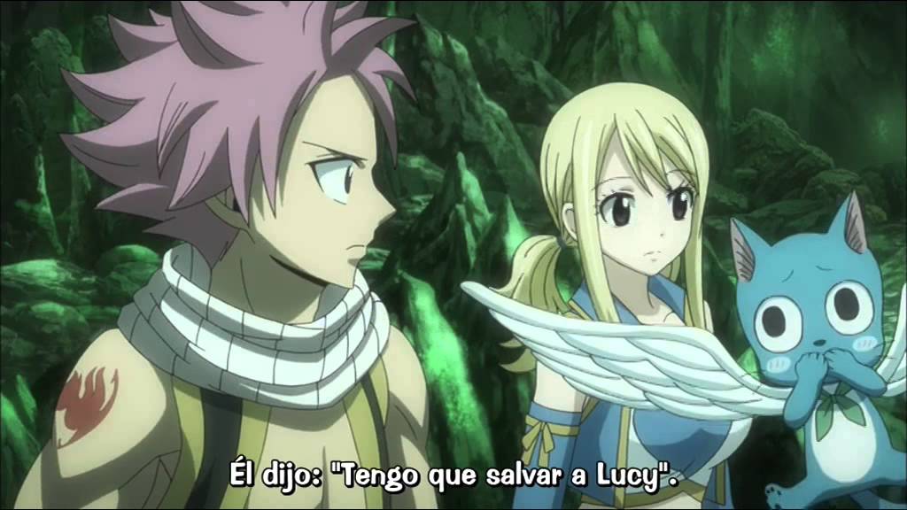 Anime (time de futebol)  Natsu fairy tail, Fairy tail anime lucy