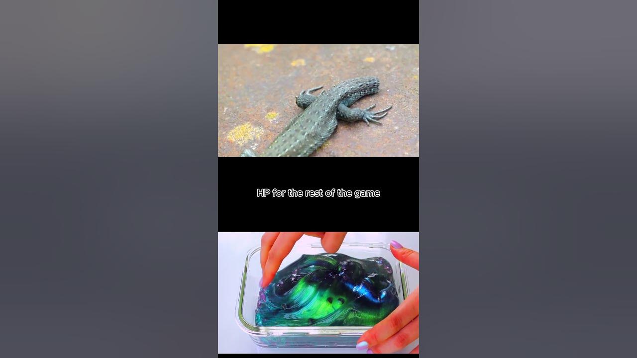 Lizard Tier List Part 3 wildlife shorts YouTube lizard-tier-list-part-3-wildlife-shorts-youtube