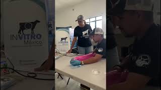 aspiracion folicular abril 2025