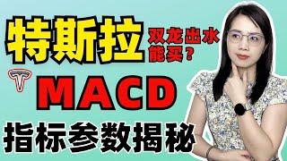 美股U选 | MACD | 特斯拉双龙出水能买？【MACD指标参数揭秘】#macd #macd指标 #股票