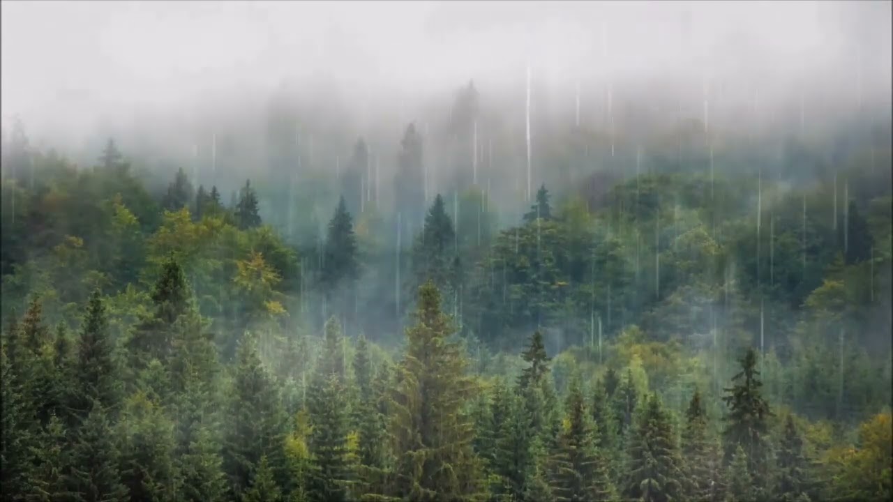 6TH SENSE ACTIVE MEDITATION MUSIC, MINDFULNESS, SOUL PEACEFULMUSIC,