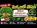 7th class10lesson#మొక్కలలో పోషణ#important for Tet DSC Ts&amp;Ap#useful content for students#sciencetopic