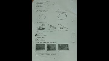 DAV Class 5 Sanskrit Half yearly question paper