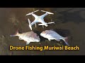 Drone Fishing For Snapper - Muriwai Beach New Zealand - AEE Condor Fishing Drone