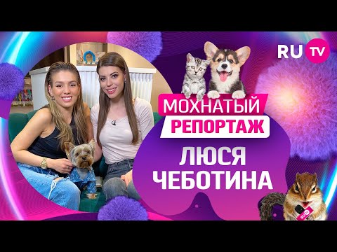 Мохнатый репортаж: Люся Чеботина