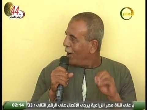 برنامج المندرة فى قرية عرب الحصار التابعة لمركز الصف محافظة الجيزة