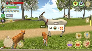 Cat Simulator 2020 #8 (Avelog) | Android Gameplay HD