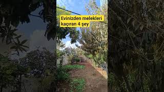 Evinizden Melekleri Kaçıran 4 Şey