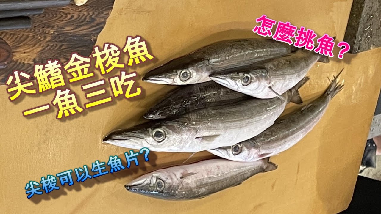 オニカマス愛要怎麼梭 郭師傅公開挑選出美味尖梭魚秘訣 手把手示範怎麼將這平價魚種 處理成天龍國等級奢華料理 オニカマスの前処理 味留一升庵郭師傅 Youtube