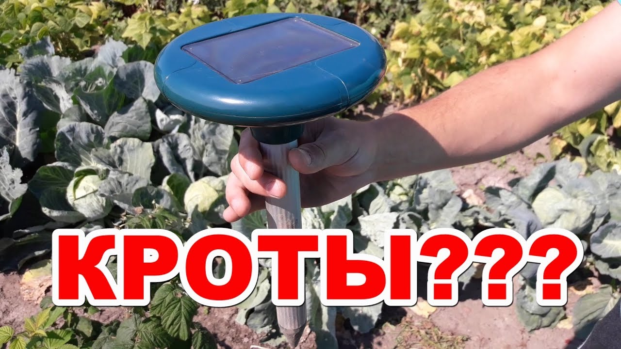 Крот на машине