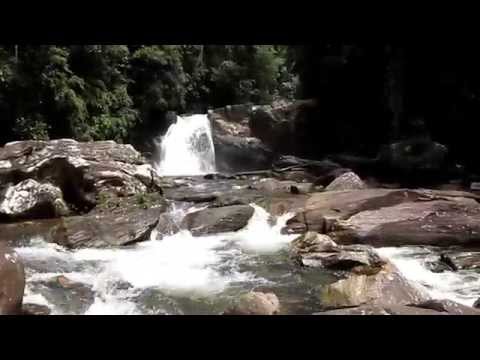 Im Sinharaja - Regenwald , Sri Lanka 29.09.14