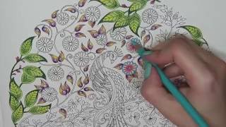 Secret Garden Coloring Book | Peacock