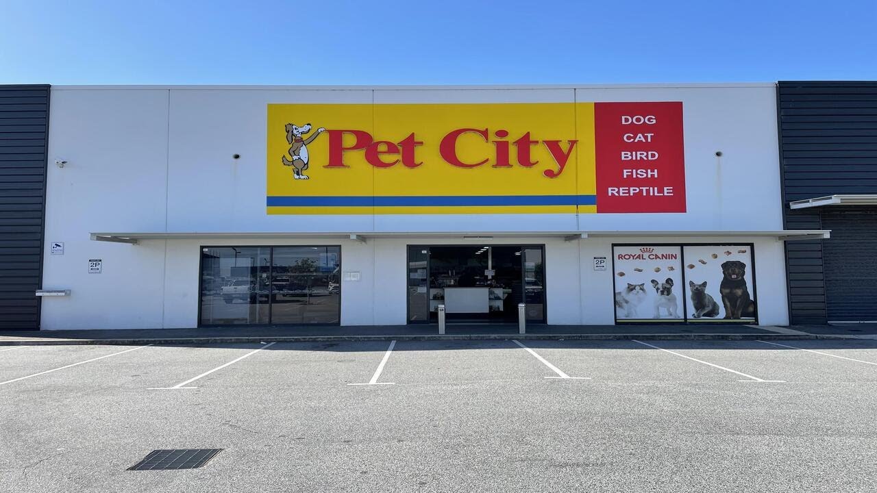 Best Pet Shop in Perth Australian Pet Stop Pet Shop Tour YouTube