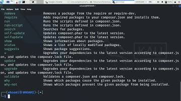 Install #COMPOSER on #KALI #LINUX #UBUNTU #MINT