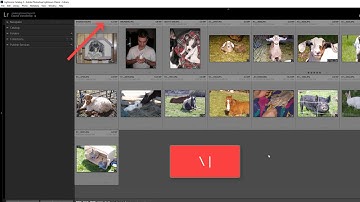 Lightroom Classic CC - Finding the Missing Library Filter Bar