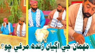 Mehman Ky Agy Zindha Murghi😱😱
