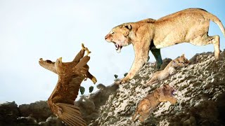 The Fierce Battle of the Lion Mother Fights to Protect Her Baby from the Brutal Hunting of the Eagle