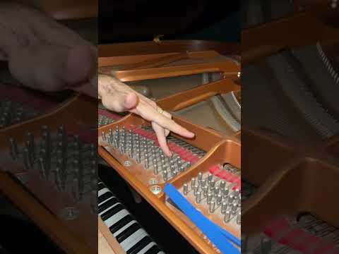 Piyano Akordu Nasıl Yapılır? Usta İsim Mert Zeren Anlatıyor. #Shorts