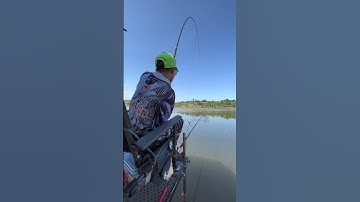 _Hightlight_ Câu cá săn hàng #cuongbavuong #cauca #fishing #caucatramden #shorts #thuthach