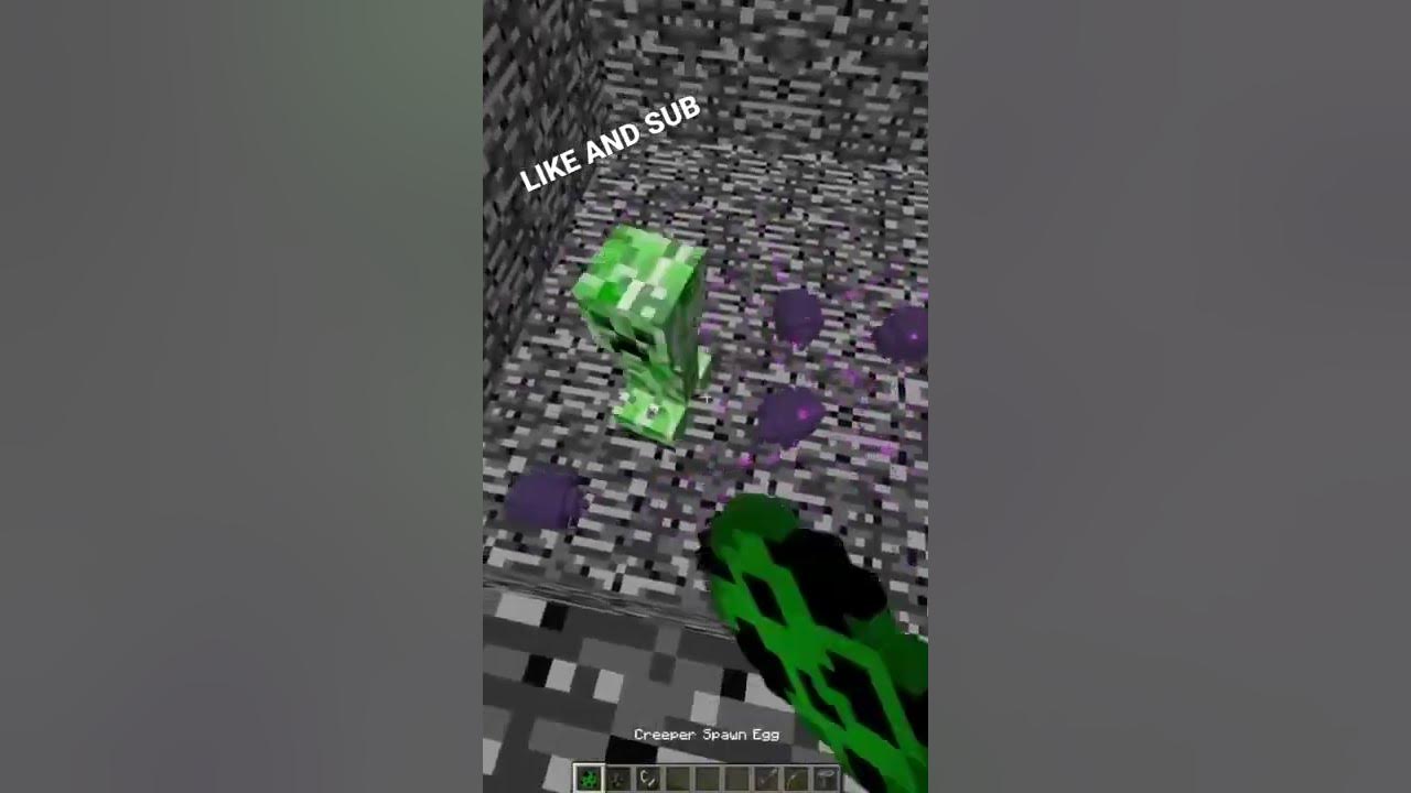 ENDERMITES VS CREEPER!!! CAN 5 ENDERMITE SURVIVE A CREEEPER BLAST💥😧