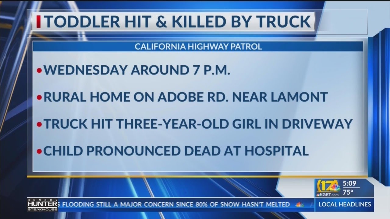 Toddler dies after being struck by truck entering residential driveway ...