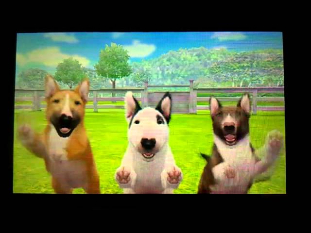 Nintendogs+Cats: Starting Dog breeds of the 3 versions - YouTube
