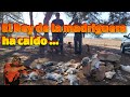 “¡Increíble jornada de caza en la pinada mediterránea! 🐇🔥”  #ConejoSalvaje #cazatradicional