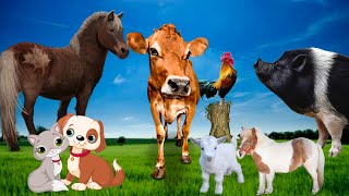 Animais fofos ao nosso redor: cavalo, vaca, gato, cachorro, elefante, galinha