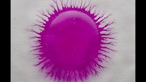 Marangoni effect on an aqueous polymer network