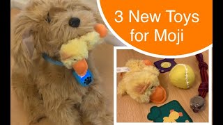 Skyrocket Moji the Lovable Labradoodle  Bought & Made 3 More Accessories: Sqeakee Duck, Ball, Pully