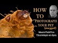 Photographing your pet (maggot) - Macro Talk Too #62 - Allan Walls Photography, September 28, 2023