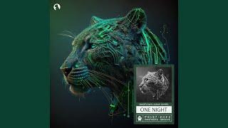One Night (Extended Mix)